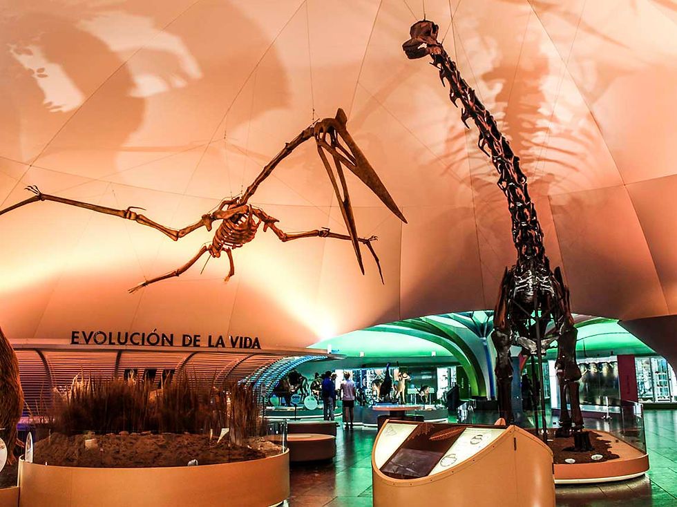 Museo de Historia Natural