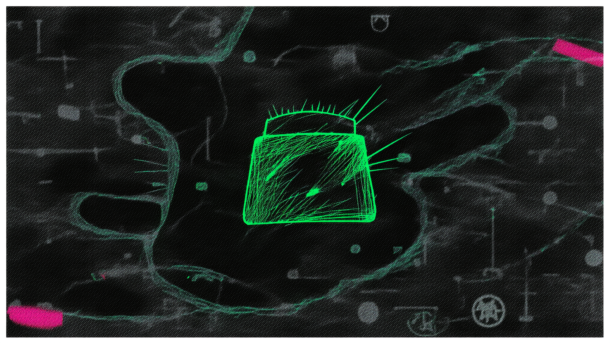 Starknet Foundation Launches Bramble Wallet With STRK20 Shielding