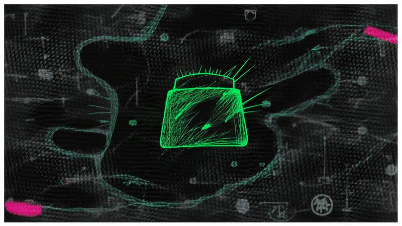 Starknet Foundation Launches Bramble Wallet With STRK20 Shielding