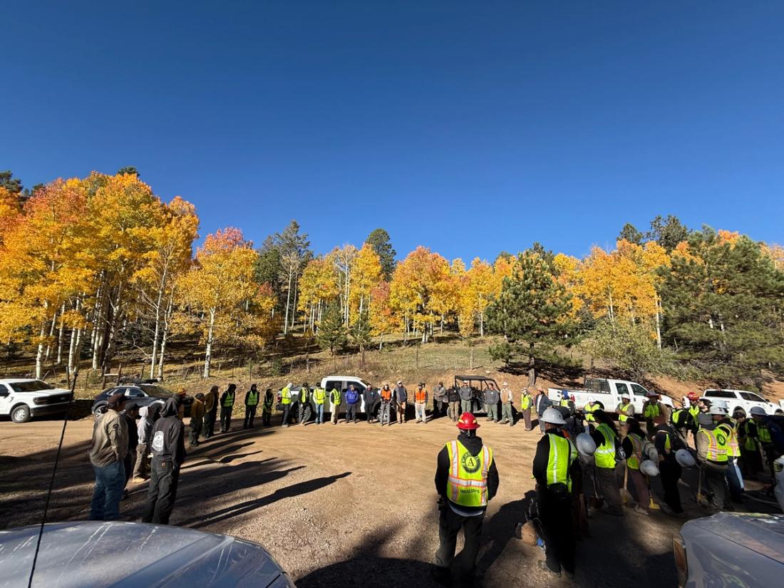 A crew of watershed restoration workers gathered for a briefing in a forest clearing
