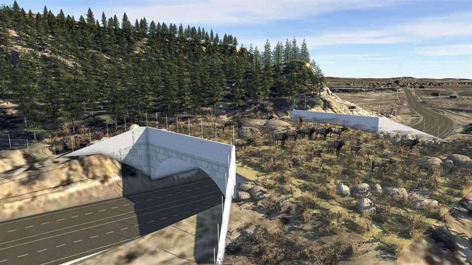 Pew Applauds New Mexico Legislature and Governor for Major Wildlife and Freshwater Protections