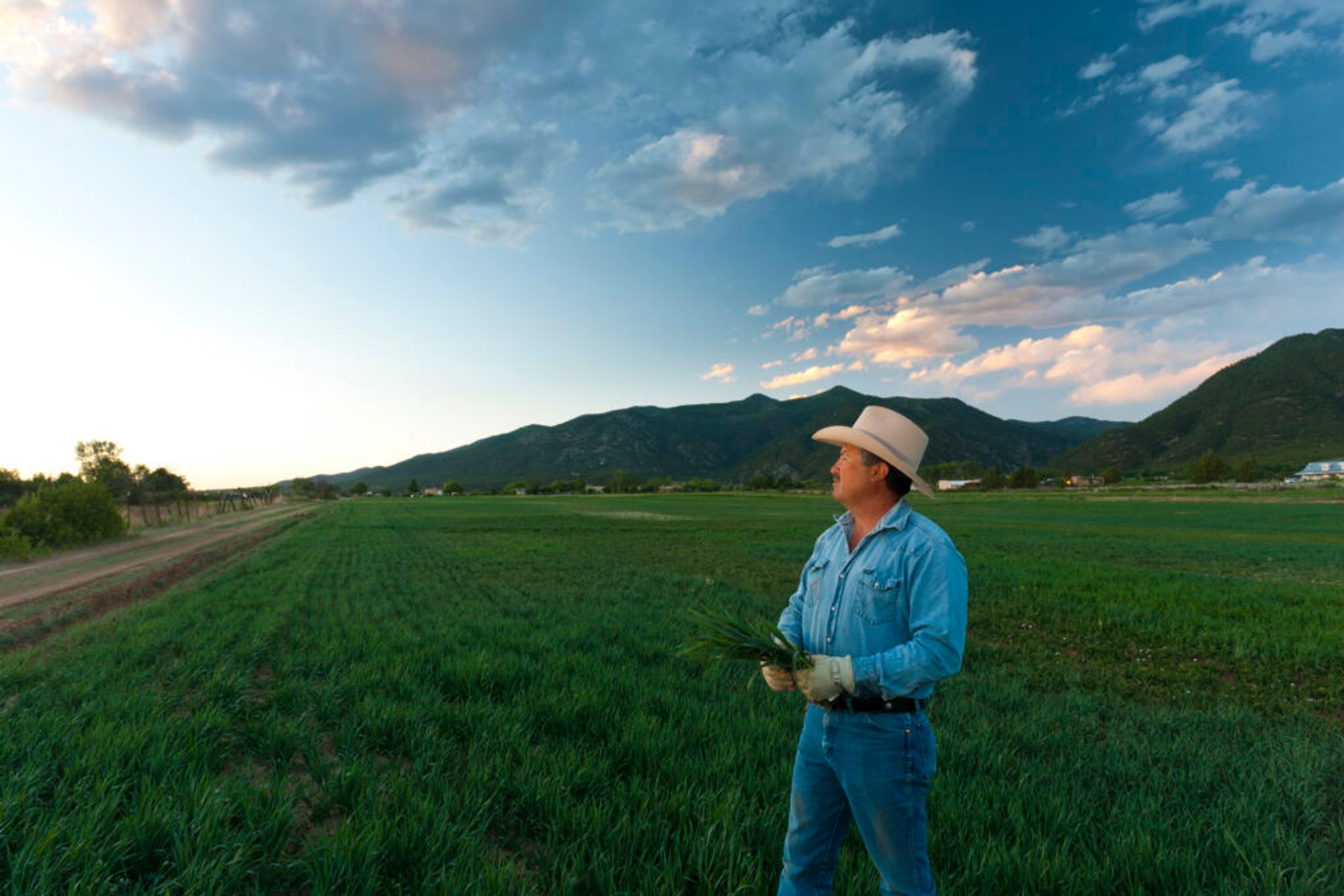 Building Climate Resilience From the Ground Up: Thornburg Foundation Partners in Action