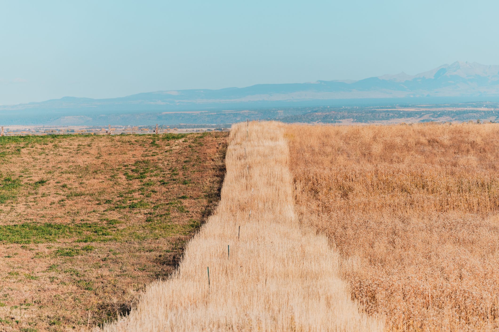 Building resilience on New Mexico’s working lands.