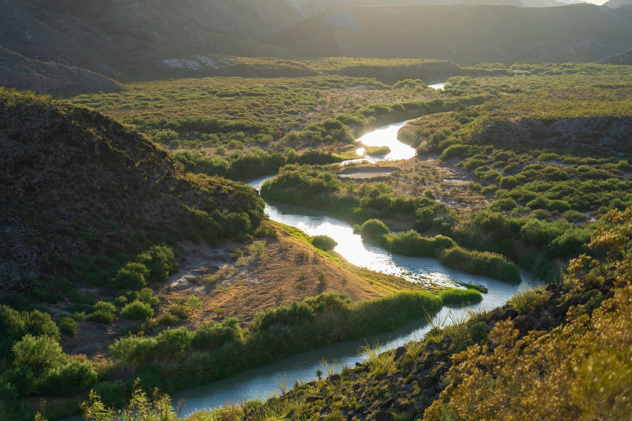 Aerial view of the Rio Grande winding through agricultural land in New Mexico