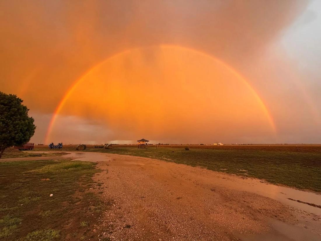 A rainbow over farmland at Kingdom Cattle in the Ogallala region