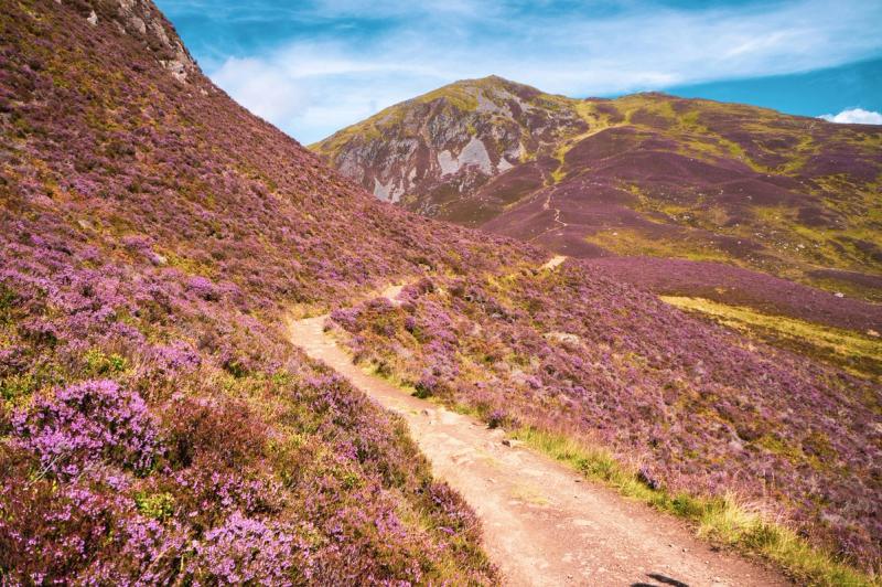 Vast landscapes in the Cairngorms.
