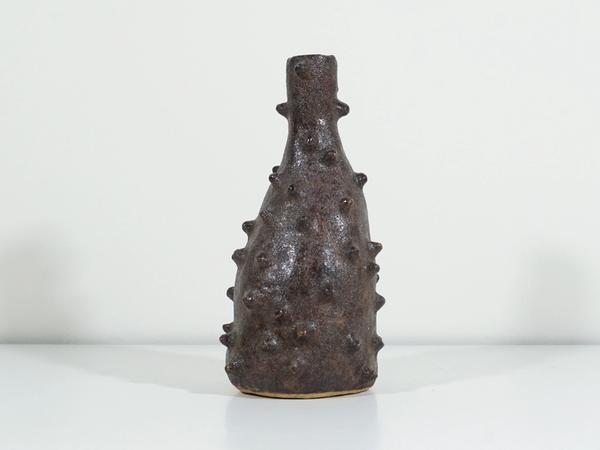 ceramic Lumpy Vase Serving Crocodile Vibes by Jen Wohlner