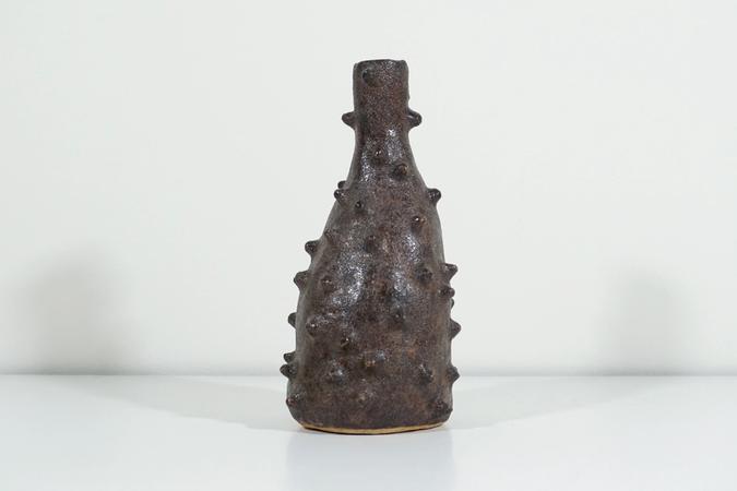 ceramic Lumpy Vase Serving Crocodile Vibes by Jen Wohlner