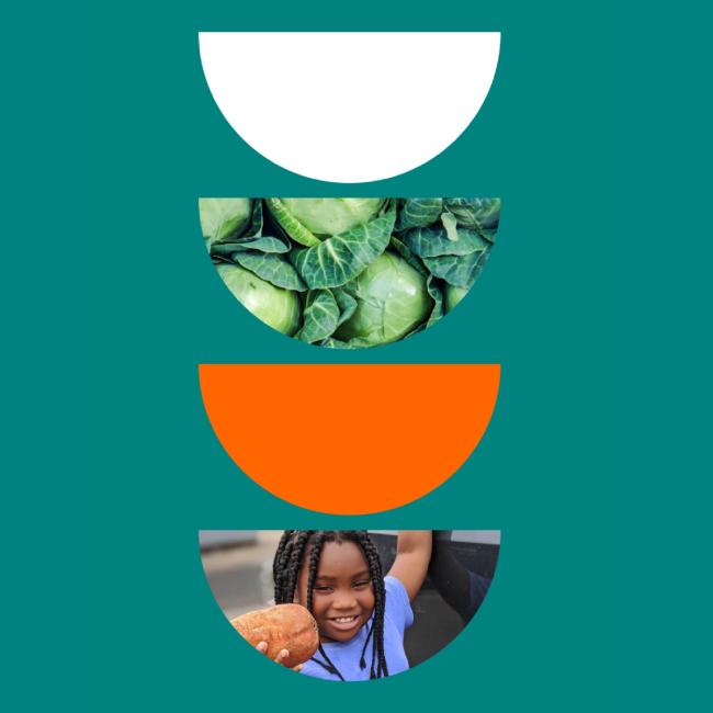 4 half-circles arranged in single column. The bottom half-circle has an image of a child holding food inside it.
