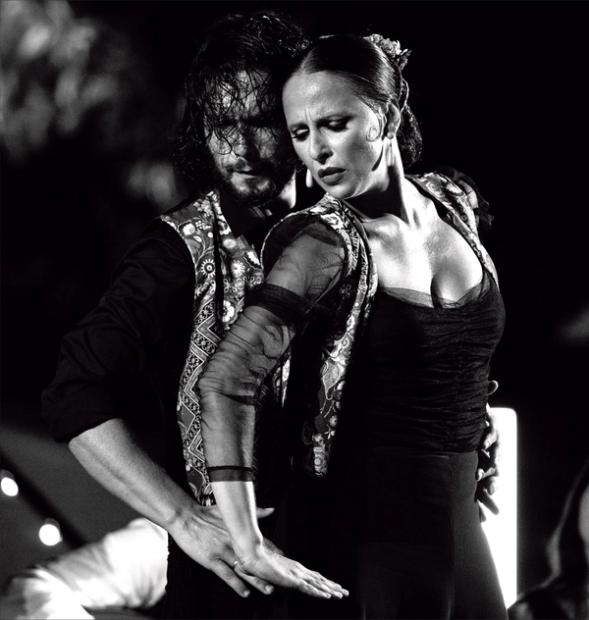 Flamenco Night, Forum