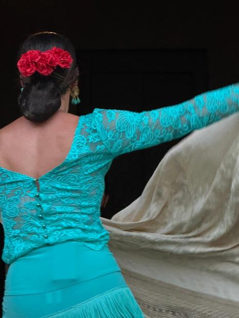 Flamenco Night, Forum