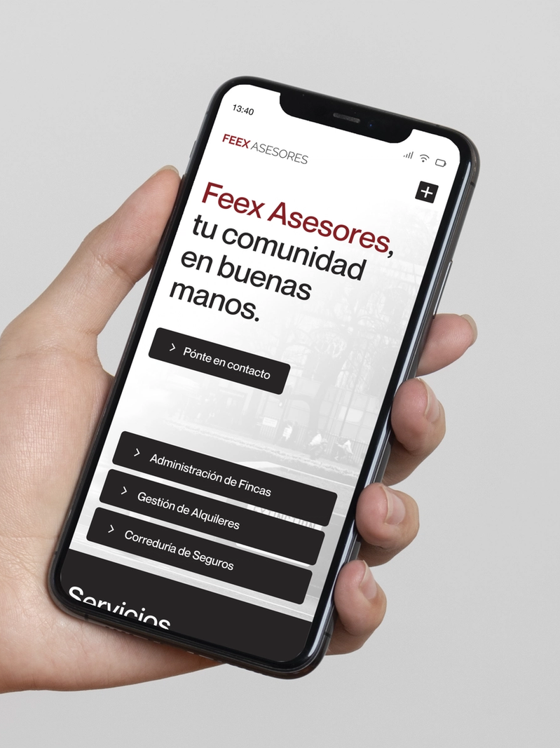 FEEX ASESORES