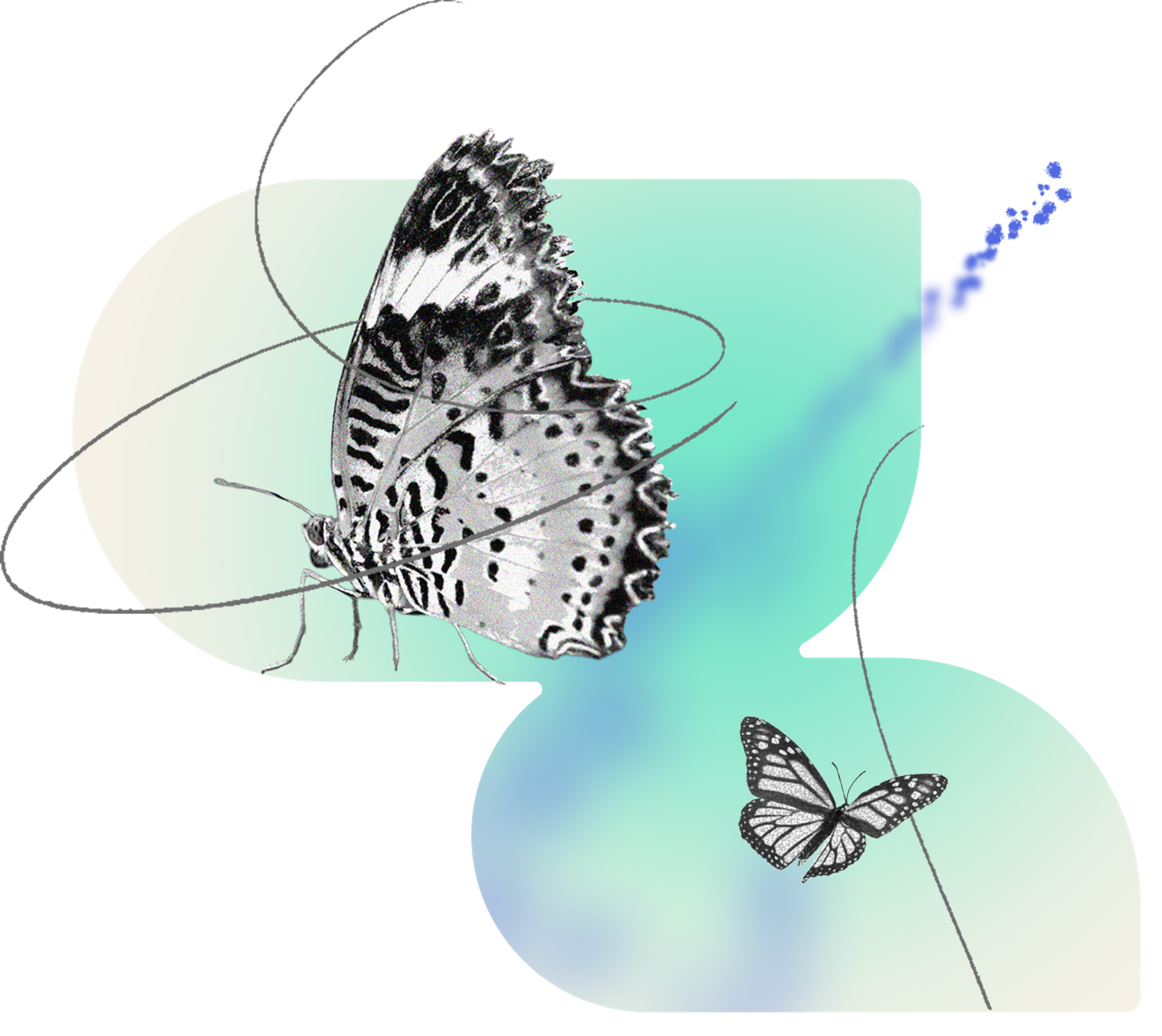 Illustration of butterflies​​​​‌﻿‍﻿​‍​‍‌‍﻿﻿‌﻿​‍‌‍‍‌‌‍‌﻿‌‍‍‌‌‍﻿‍​‍​‍​﻿‍‍​‍​‍‌﻿​﻿‌‍​‌‌‍﻿‍‌‍‍‌‌﻿‌​‌﻿‍‌​‍﻿‍‌‍‍‌‌‍﻿﻿​‍​‍​‍﻿​​‍​‍‌‍‍​‌﻿​‍‌‍‌‌‌‍‌‍​‍​‍​﻿‍‍​‍​‍‌‍‍​‌﻿‌​‌﻿‌​‌﻿​​‌﻿​﻿​﻿‍‍​‍﻿﻿​‍﻿﻿‌﻿​​‌‍‍‌‌‍﻿‍‌﻿‌​‌‍‌‌‌﻿​‍‌‍‌‌‌﻿​﻿‌﻿‌​​‍﻿‍‌‍‌​‌‍‌‌‌﻿​﻿‌‍‍‌‌‍‌﻿‌‍﻿‍​‍﻿﻿‌‍​‌‌‍‌​‌‍﻿‌‌‍‍‌‌‍﻿‍​‍﻿﻿‌‍‍‌‌‍﻿‍‌﻿‌​‌‍‌‌‌‍﻿‍‌﻿‌​​‍﻿﻿‌‍‌‌‌‍‌​‌‍‍‌‌﻿‌​​‍﻿﻿‌‍﻿‌‌‍﻿﻿‌‍‌​‌‍‌‌​﻿﻿‌‌﻿​​‌﻿​‍‌‍‌‌‌﻿​﻿‌‍‌‌‌‍﻿‍‌﻿‌​‌‍​‌‌﻿‌​‌‍‍‌‌‍﻿﻿‌‍﻿‍​﻿‍﻿‌‍‍‌‌‍‌​​﻿﻿‌​﻿​‍​﻿‍‌‌‍‌‌​﻿‌​​﻿‍‌​﻿​​​﻿​‌​﻿‌‌​‍﻿‌​﻿​‌‌‍​‍‌‍‌‍​﻿‍‌​‍﻿‌​﻿‌​‌‍‌‍​﻿‌‍‌‍​﻿​‍﻿‌‌‍​‍‌‍‌​​﻿‌﻿​﻿‌​​‍﻿‌​﻿‍‌‌‍‌‍‌‍‌‍‌‍‌​​﻿​‌​﻿​﻿​﻿​​‌‍​‌‌‍‌​‌‍‌​‌‍​‍​﻿‍​​﻿‍﻿‌﻿‌​‌﻿‍‌‌﻿​​‌‍‌‌​﻿﻿‌‌‍​‌‌﻿​‍‌﻿‌​‌‍‍‌‌‍​﻿‌‍﻿​‌‍‌‌​﻿‍﻿‌﻿​​‌‍​‌‌﻿‌​‌‍‍​​﻿﻿‌‌﻿‌​‌‍‍​‌﻿‌‌‌‍﻿‌‌‍​‍‌‍﻿‍‌‍​‌‌‍‍‌‌‍﻿​​‍﻿‍‌‍​‌‌‍﻿​‌﻿‌​​﻿﻿﻿‌‍​‍‌‍​‌‌﻿​﻿‌‍‌‌‌‌‌‌‌﻿​‍‌‍﻿​​﻿﻿‌‌‍‍​‌﻿‌​‌﻿‌​‌﻿​​‌﻿​﻿​‍‌‌​﻿​﻿‌​​‌​‍‌‌​﻿​‍‌​‌‍​‍‌‌​﻿​‍‌​‌‍‌﻿​​‌‍‍‌‌‍﻿‍‌﻿‌​‌‍‌‌‌﻿​‍‌‍‌‌‌﻿​﻿‌﻿‌​​‍﻿‍‌‍‌​‌‍‌‌‌﻿​﻿‌‍‍‌‌‍‌﻿‌‍﻿‍​‍‌‌​﻿​‍‌​‌‍‌‍​‌‌‍‌​‌‍﻿‌‌‍‍‌‌‍﻿‍​‍‌‍‌‍‍‌‌‍‌​​﻿﻿‌​﻿​‍​﻿‍‌‌‍‌‌​﻿‌​​﻿‍‌​﻿​​​﻿​‌​﻿‌‌​‍﻿‌​﻿​‌‌‍​‍‌‍‌‍​﻿‍‌​‍﻿‌​﻿‌​‌‍‌‍​﻿‌‍‌‍​﻿​‍﻿‌‌‍​‍‌‍‌​​﻿‌﻿​﻿‌​​‍﻿‌​﻿‍‌‌‍‌‍‌‍‌‍‌‍‌​​﻿​‌​﻿​﻿​﻿​​‌‍​‌‌‍‌​‌‍‌​‌‍​‍​﻿‍​​‍‌‍‌﻿‌​‌﻿‍‌‌﻿​​‌‍‌‌​﻿﻿‌‌‍​‌‌﻿​‍‌﻿‌​‌‍‍‌‌‍​﻿‌‍﻿​‌‍‌‌​‍‌‍‌﻿​​‌‍​‌‌﻿‌​‌‍‍​​﻿﻿‌‌﻿‌​‌‍‍​‌﻿‌‌‌‍﻿‌‌‍​‍‌‍﻿‍‌‍​‌‌‍‍‌‌‍﻿​​‍﻿‍‌‍​‌‌‍﻿​‌﻿‌​​‍‌‍‌﻿​​‌‍‌‌‌﻿​‍‌﻿​﻿‌﻿​​‌‍‌‌‌‍​﻿‌﻿‌​‌‍‍‌‌﻿‌‍‌‍‌‌​﻿﻿‌‌﻿​​‌﻿‌‌‌‍​‍‌‍﻿​‌‍‍‌‌﻿​﻿‌‍‍​‌‍‌‌‌‍‌​​‍​‍‌﻿﻿‌
