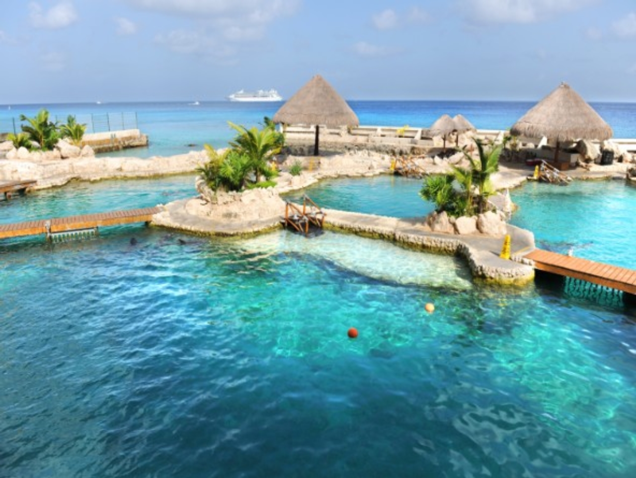 Star Collector: Deep Dive into the Blue: Underwater Worlds of the Caribbean