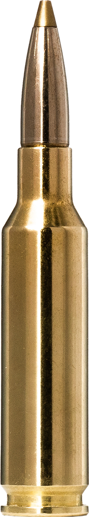 Norma EVOSTRIKE 6,5 Creedmoor 6g – 20166482 – gyári termékfotó