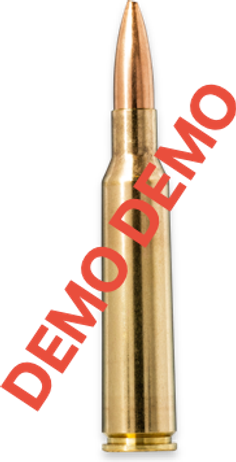 Hoy Oryx .300 Winchester Magnum 11.7g – 20174762123456 – gyári termékfotó