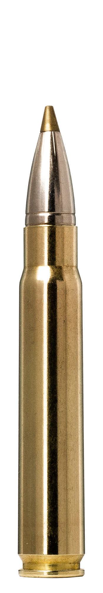 Norma Norma EVOSTRIKE 9.3x62 11.9g