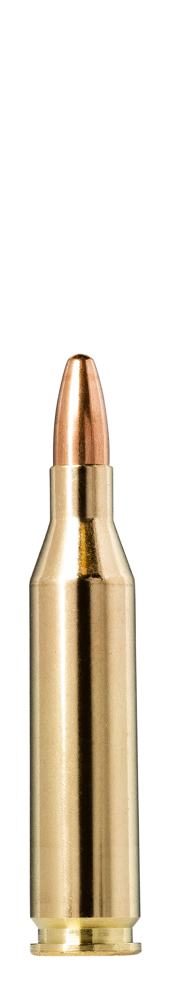Norma Norma Jaktmatch .243 Winchester 6.2g