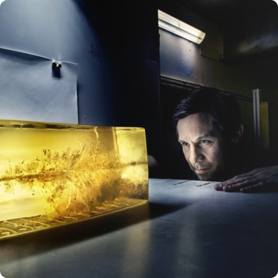 Norma TIPSTRIKE .308 Winchester 11g | Norma Precision