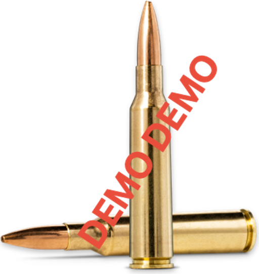 Hoy Oryx .300 Winchester Magnum 11.7g – 20174762123456 – gyári termékfotó