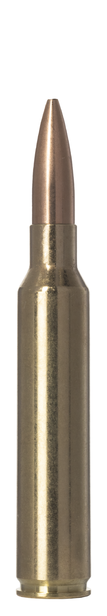 Norma Norma GOLDEN TARGET 300 PRC 14.3g