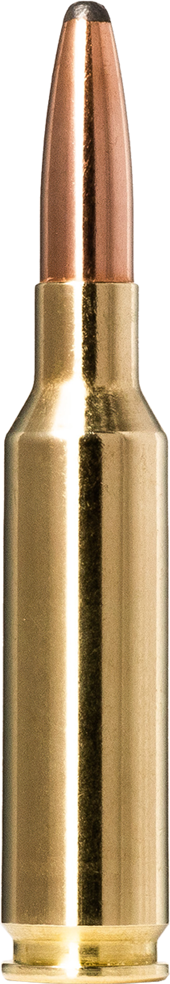 Norma Whitetail 6,5 Creedmoor 9,1 g – 20166492 – gyári termékfotó