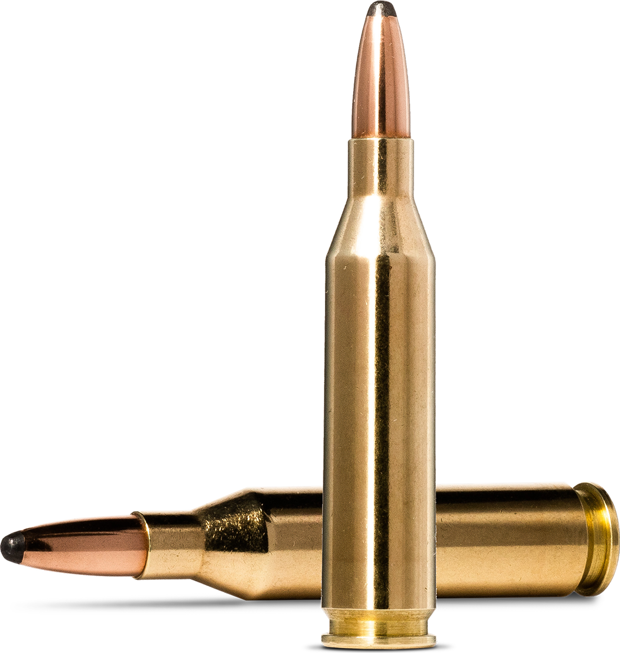 Norma Whitetail .243 Winchester 6.5 g – 20160462 – gyári termékfotó
