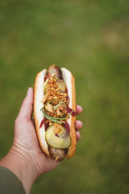 Wild Bonfire Hotties: Outdoor Wild Meat Recipe for Autumn | Norma Precision