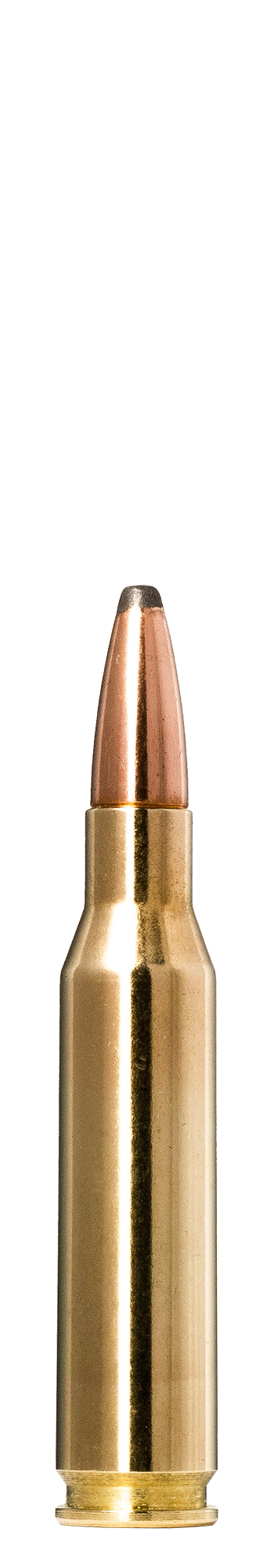 Norma Norma Whitetail 7 mm - 08 Remington 9.7 g