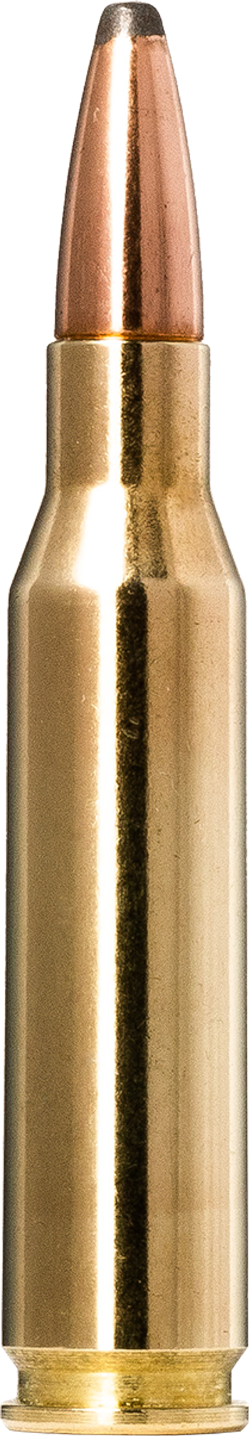 Norma Whitetail 7 mm - 08 Remington 9,7 g – 20171502 – gyári termékfotó