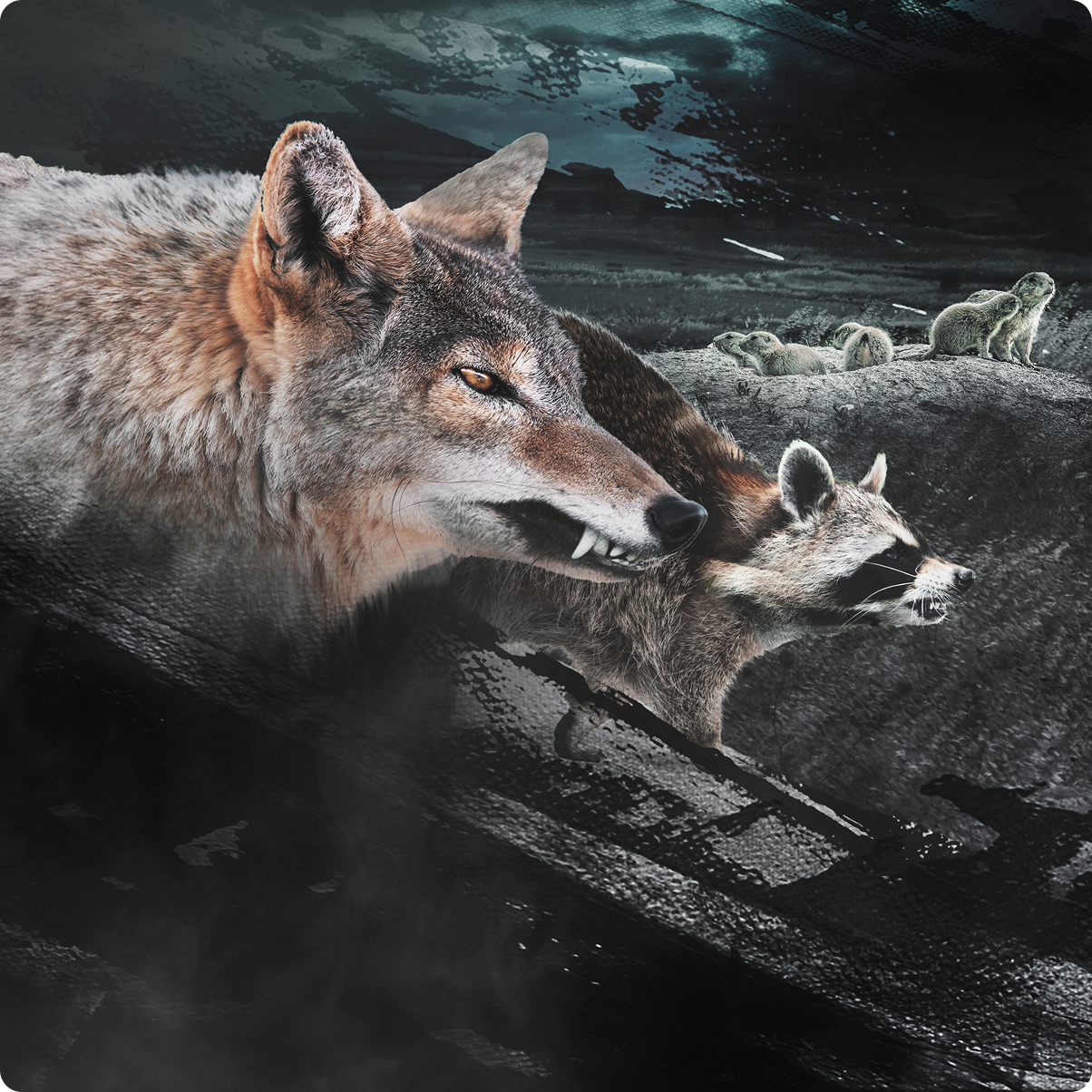 Hunting - VerminXtreme | Norma Precision