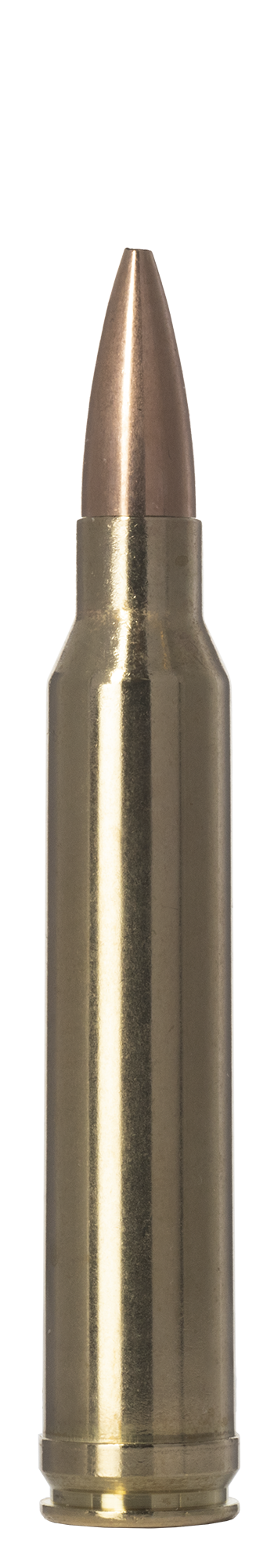 Norma Norma GOLDEN TARGET 300 Win Mag 14.3g