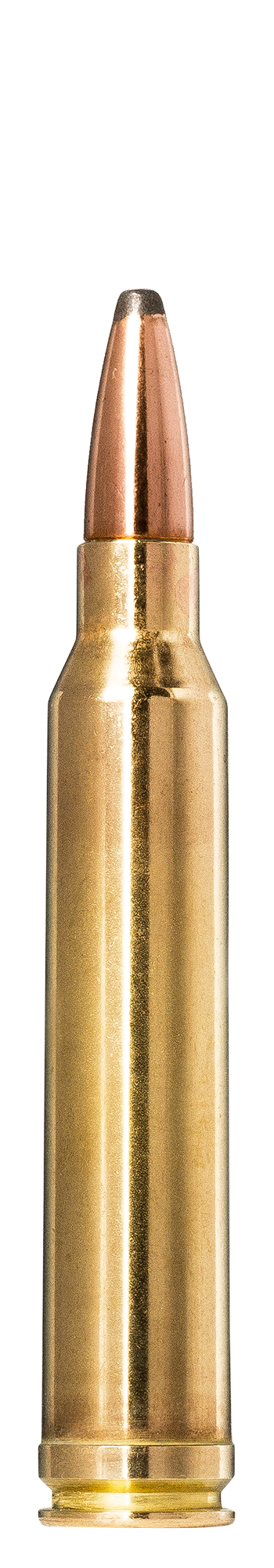 Norma Norma Whitetail .300 Winchester Magnum 9.7 g