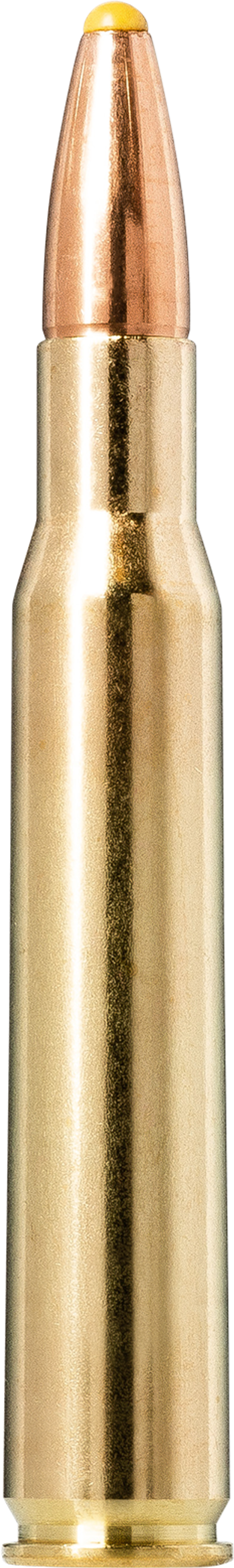 Norma Plastic Point 30-06 Springfield 11.7g – 20176532 – gyári termékfotó