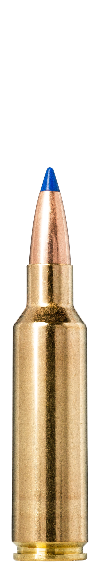 Norma Norma Bondstrike .300 Winchester Short Magnum 11.7g