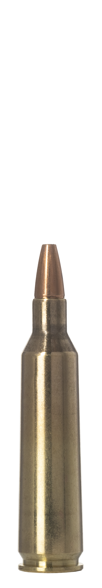 Norma Norma VERMINXTREME 22-250 Remington 3.6g