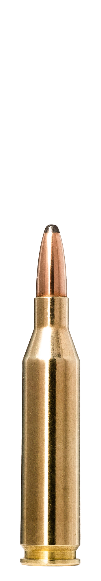 Norma Norma Whitetail .243 Winchester 6.5 g