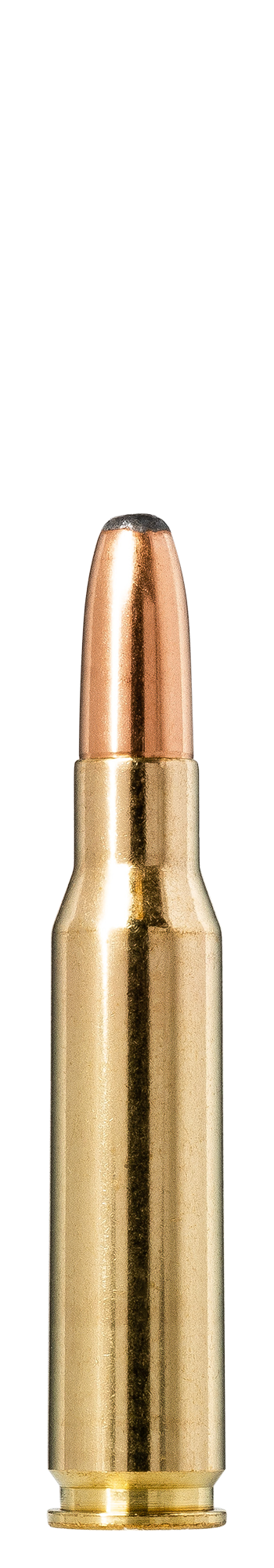 Norma Norma Whitetail .308 Winchester 11.7g
