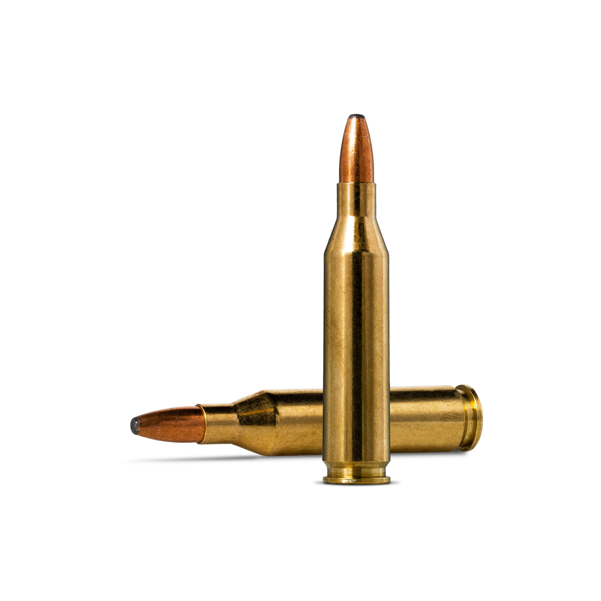 Norma Oryx .243 Winchester 6.5g | Norma Precision