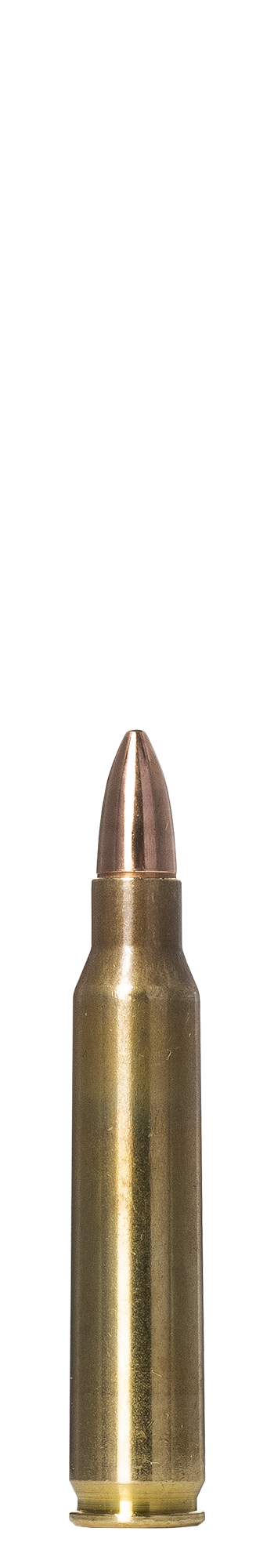 Norma Norma Range & Training 223 REM. 3.6g