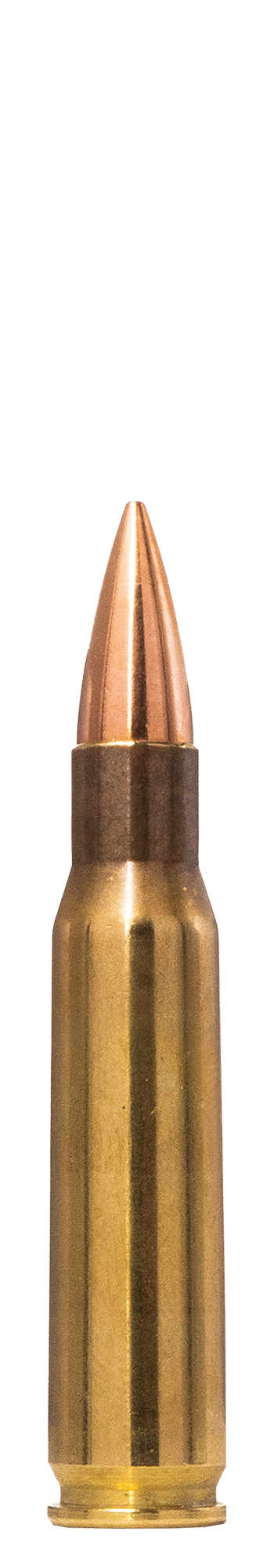 Norma Norma Range & Training .308 Winchester 9.7 g