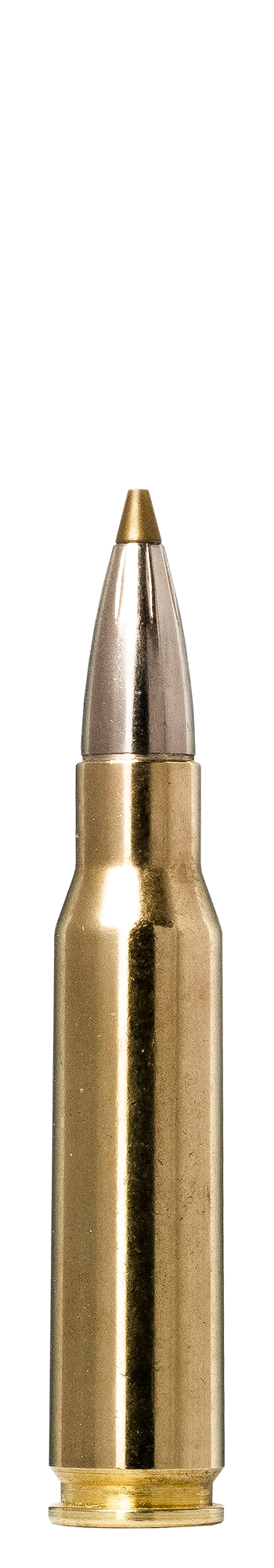 Norma Norma EVOSTRIKE .308 Winchester 9g