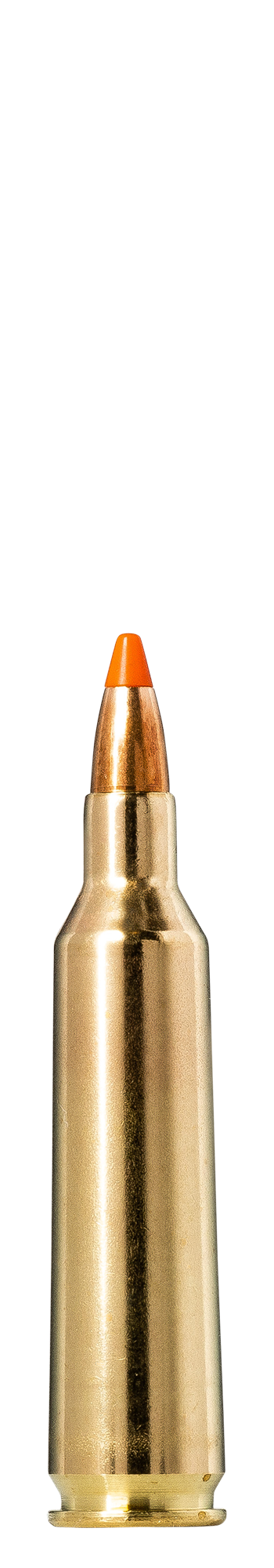 Norma Norma TIPSTRIKE Varmint .22-250 Remington 3.6g
