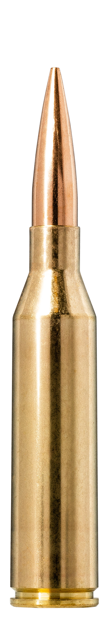 Norma Norma GOLDEN TARGET 300 Norma Mag 14.3g