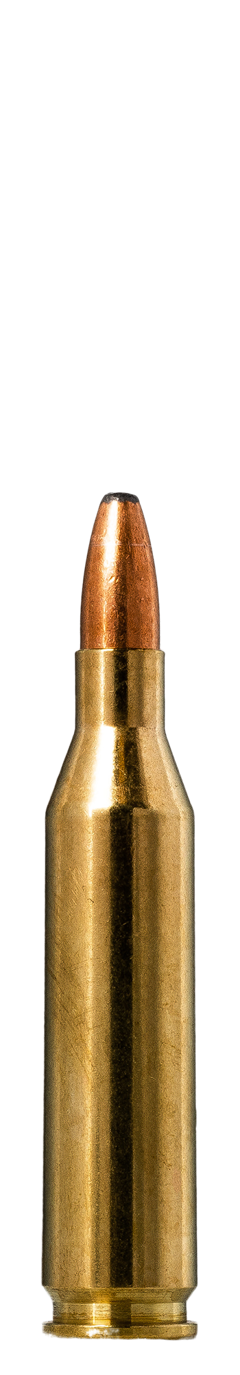 Norma Oryx .243 Winchester 6.5g | Norma Precision