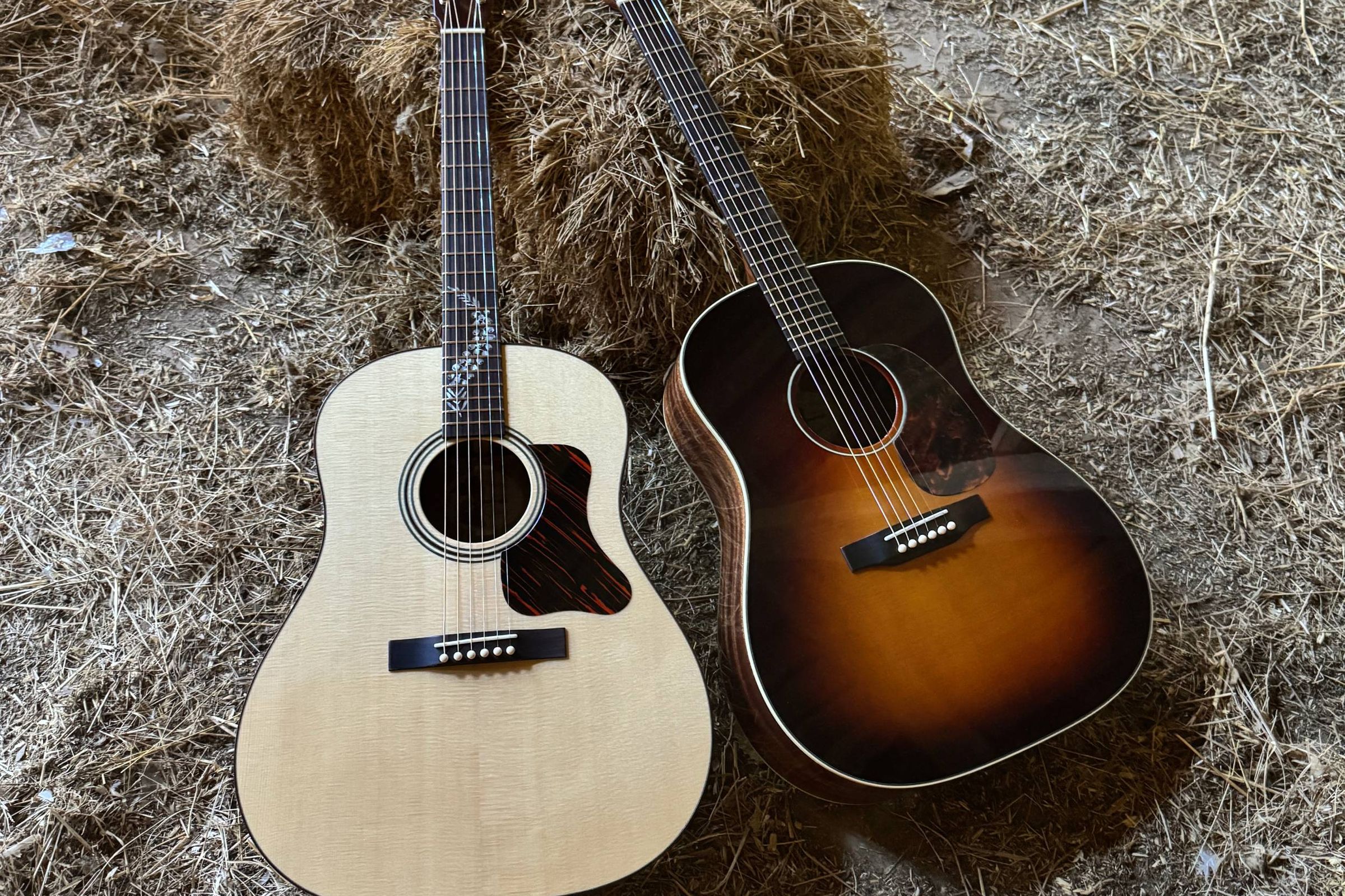Hero image of tow of my guitars