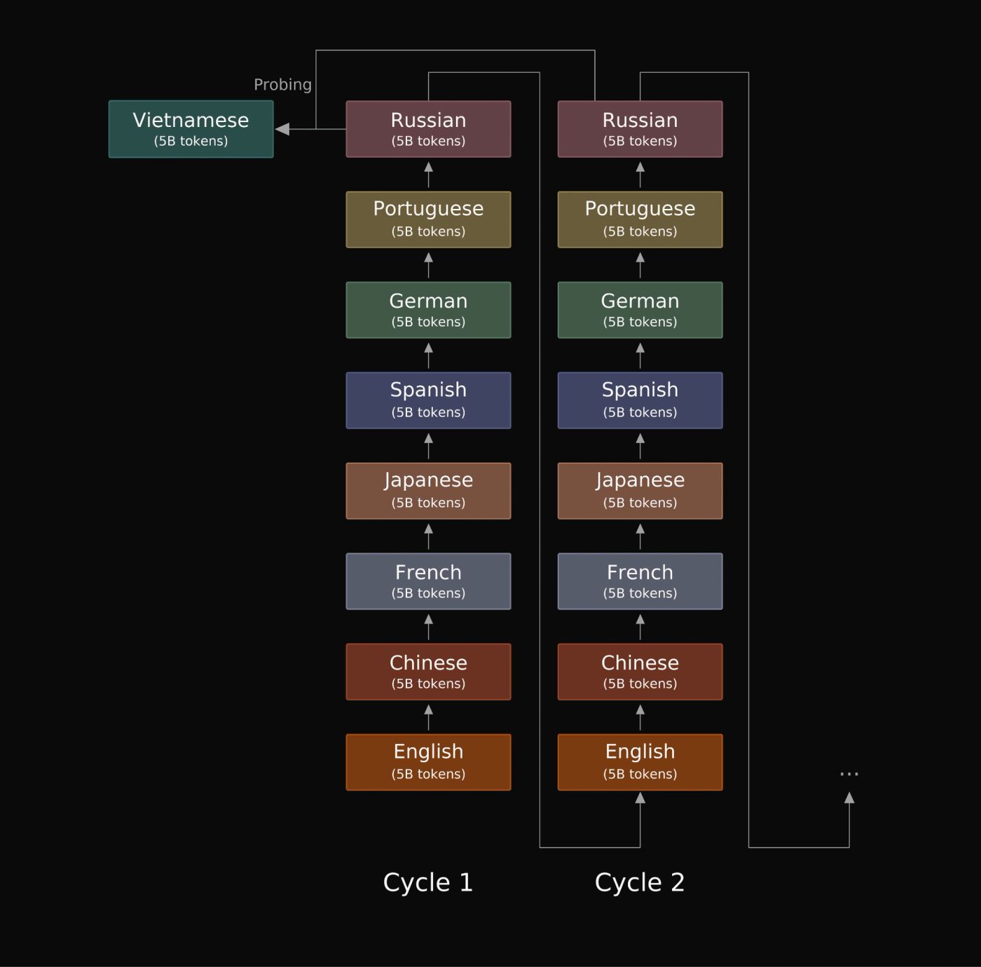 Models are trained on repeated cycles of eight language-modeling tasks. At the end of each cycle, plasticity is assessed using a held-out Vietnamese probing task.