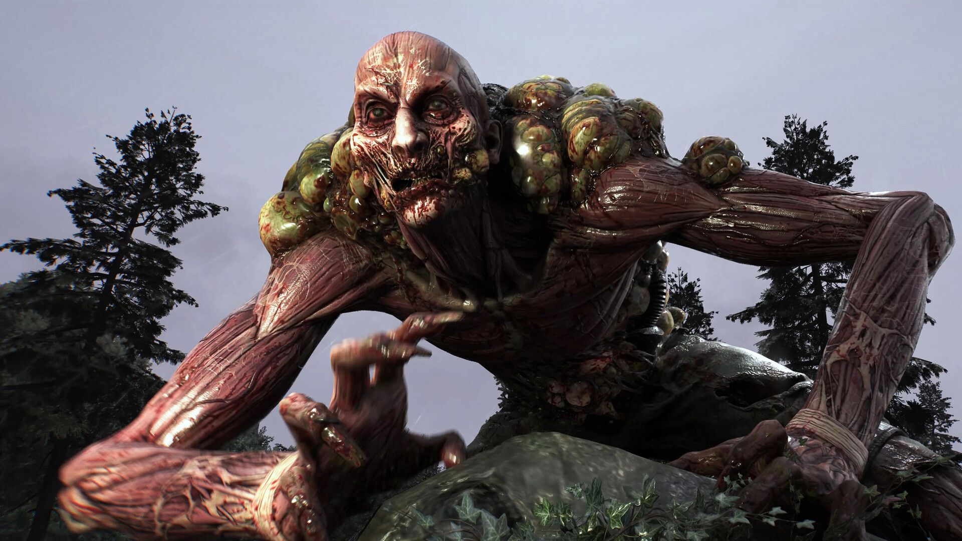 Castor Woods at night in Dying Light The Beast