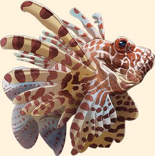 Official Planet Zoo 2 illustration of a Red Lionfish.
