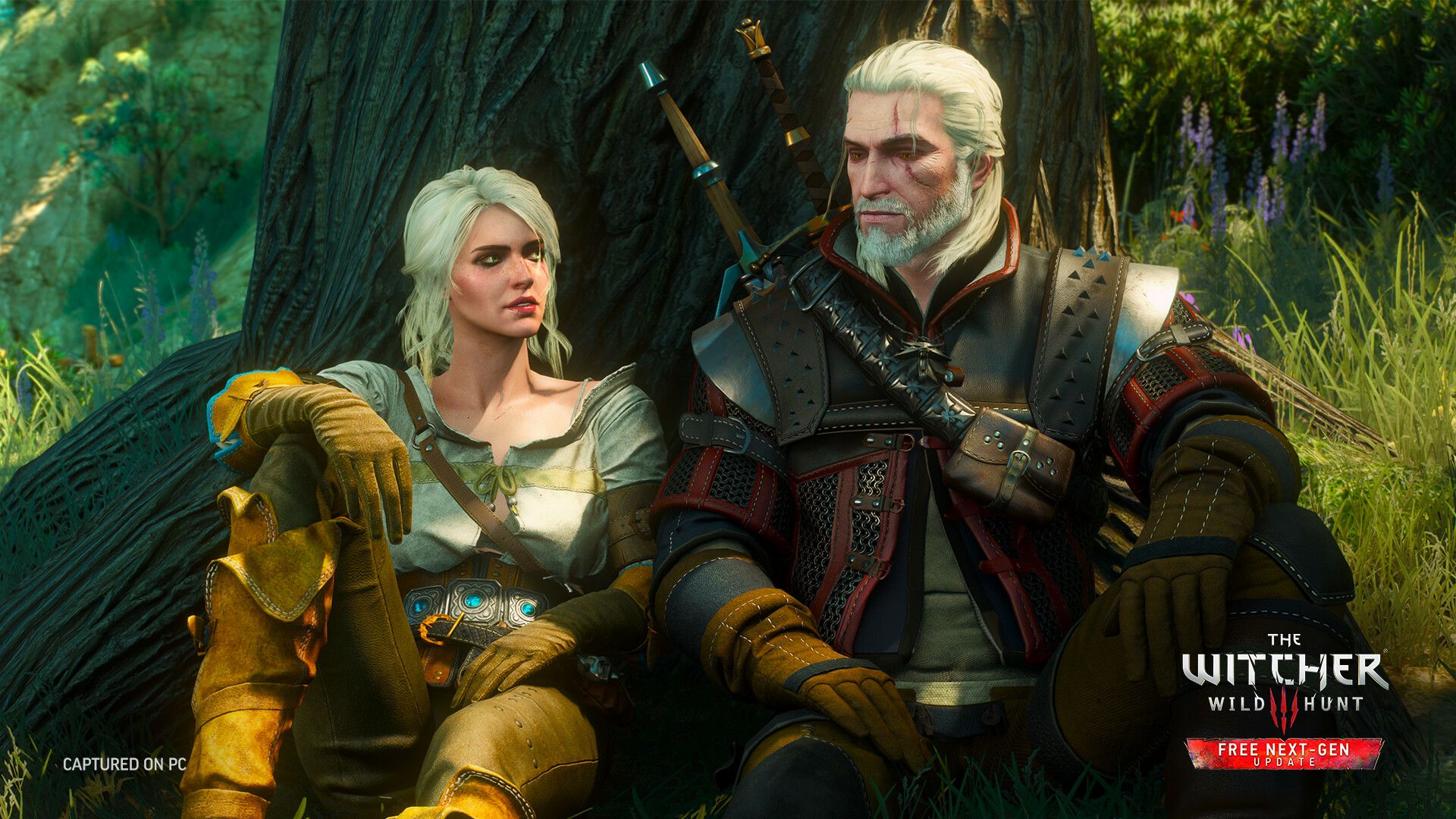 Novigrad in The Witcher 3: Wild Hunt